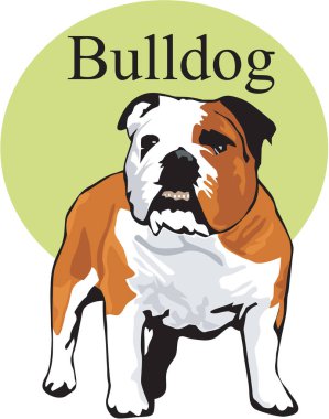 Bulldog Duran Vektör İllüstrasyonu