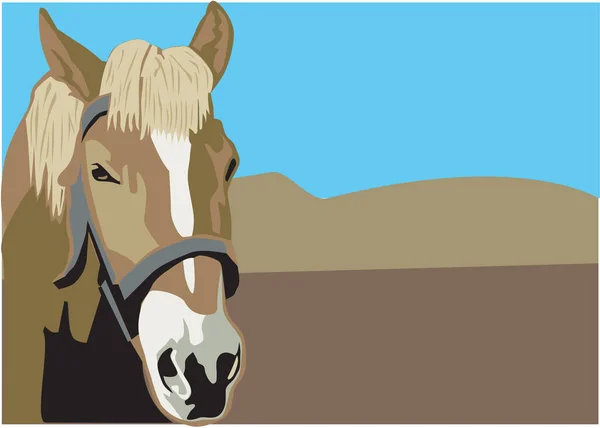 Cavalo Range Vector Ilustração — Vetor de Stock
