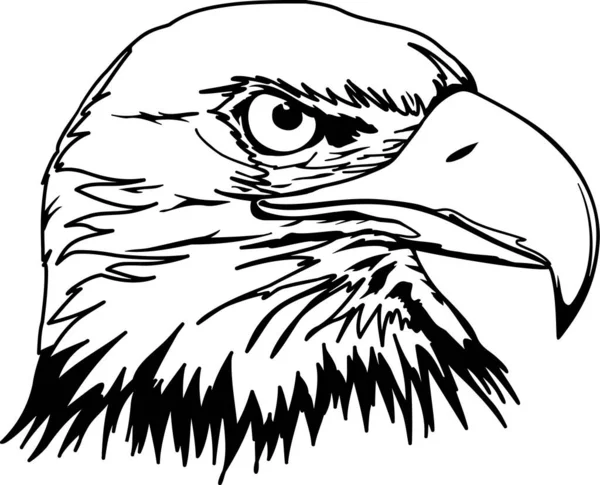 Ilustración Del Vector Cabeza Águila — Vector de stock