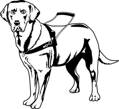 Köpek Vektörü İllüstrasyonunu Göster