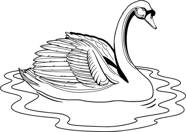 Cisne Mudo Vector Ilustração — Vetor de Stock