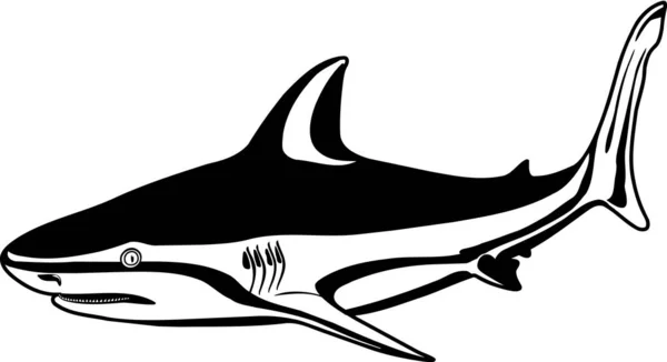 Toro Tiburón Vector Ilustración — Archivo Imágenes Vectoriales