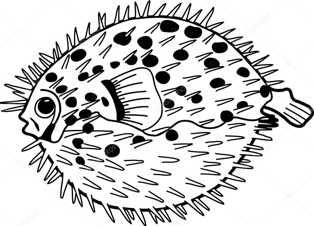 Blow Fish Vector Illustration