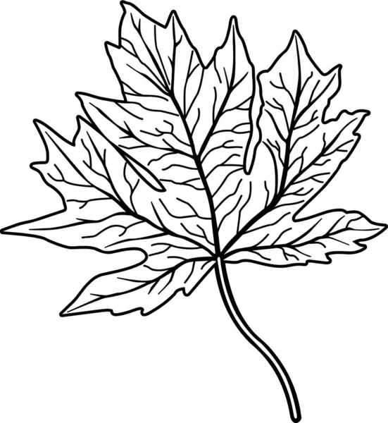 Maple Leaf Vektoros Illusztráció — Stock Vector