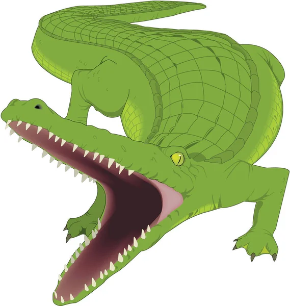 Alligator Bereit Vektorillustration Beißen — Stockvektor
