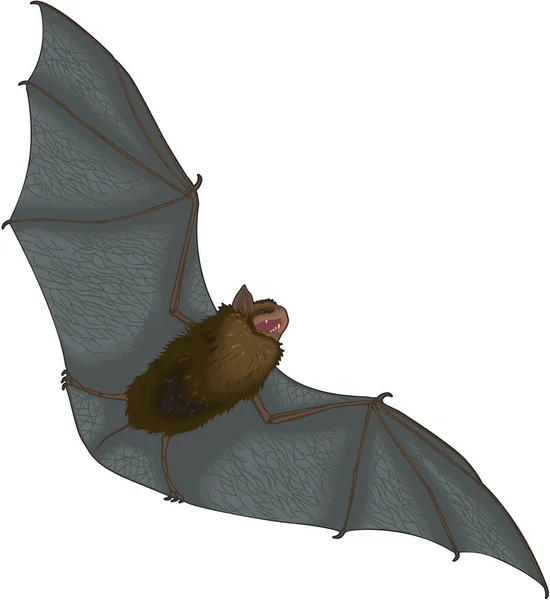 Brown Bat Vector Illustration — Stockový vektor