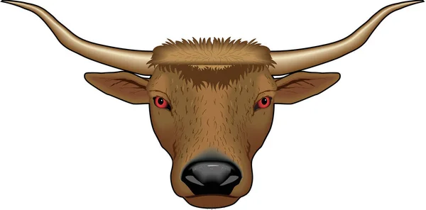 Longhorn Bull Vector Ilustração — Vetor de Stock