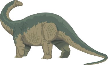 Brontosaurus Ayakta Duran Vektör İllüstrasyonu