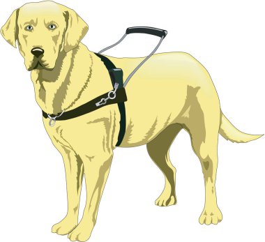 Köpek Vektörü İllüstrasyonunu Göster