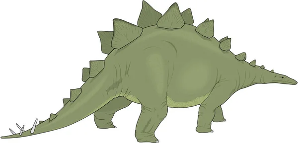 Stegosaurus行走矢量图解 — 图库矢量图片
