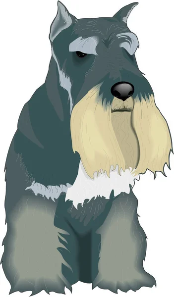 Ilustración Vector Terrier Escocés — Archivo Imágenes Vectoriales