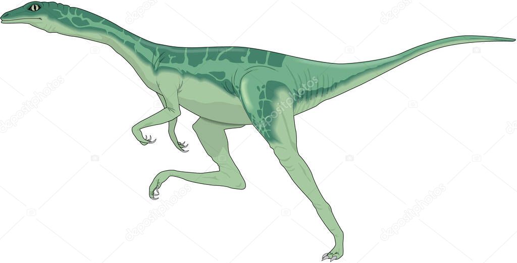 Ornithomimus Running Vector Illustration