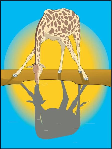 Žirafa Ilustraci Zavlažovacích Otvorů — Stockový vektor