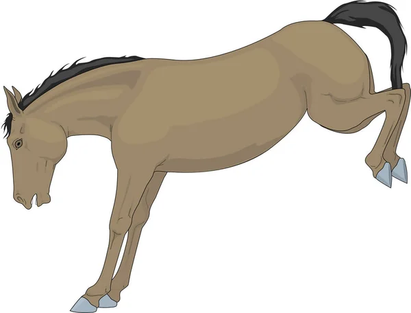 Horse Kicking Vector Illustratie — Stockvector