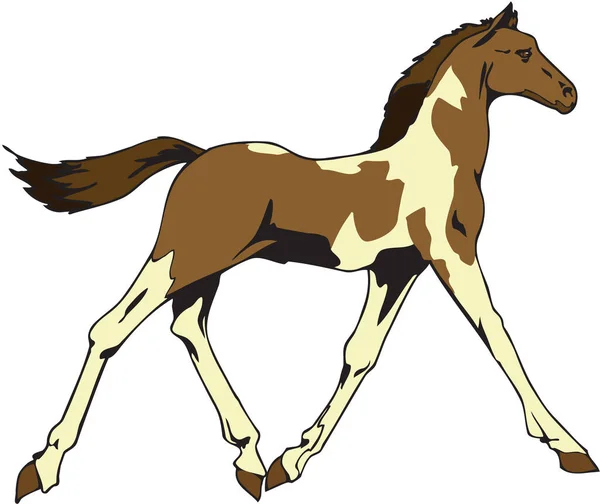 Horse Walking Vector Illustration — Stock Vector
