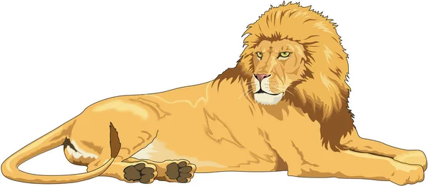 Illustration Vectorielle Pose Lion — Image vectorielle