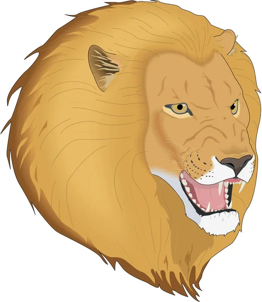 Illustration Vectorielle Tête Lion — Image vectorielle