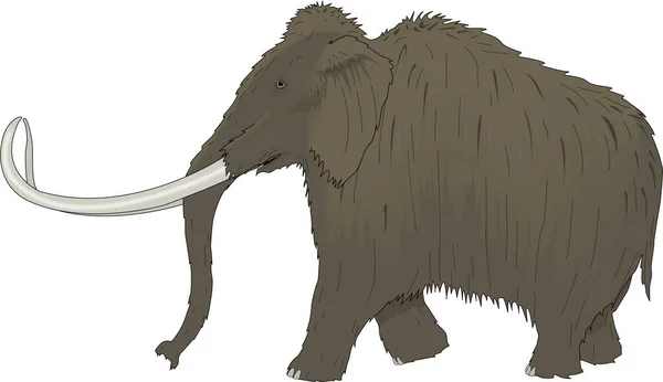 Wooly Mammoth Vektor Illustration — Stock vektor