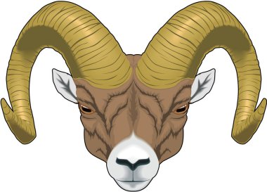 Ram Baş Vektör İllüstrasyonu