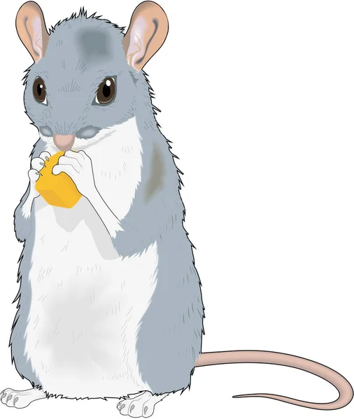 Vektorová Ilustrace Stojícího Myši — Stockový vektor