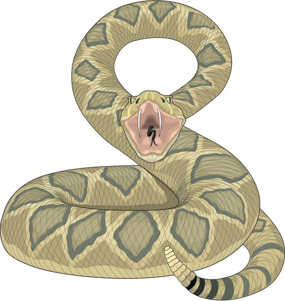 Serpente Sonagli Pronto Colpire Vettoriale Illustrazione — Vettoriale Stock