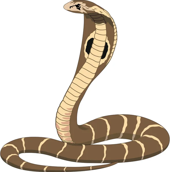 Illustration Vectorielle Roi Cobra — Image vectorielle