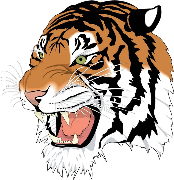 Ilustración Vectorial Cabeza Tigre Siberiano — Archivo Imágenes Vectoriales
