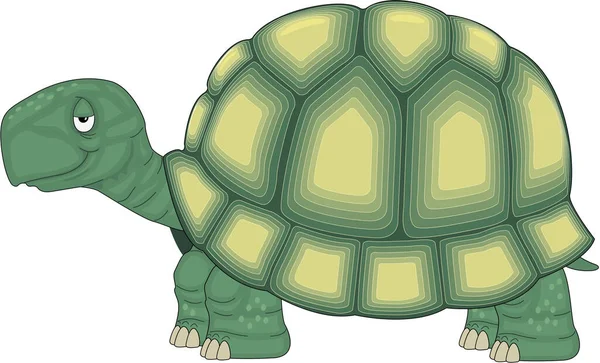 Dessin Animé Vectoriel Sourire Tortue — Image vectorielle