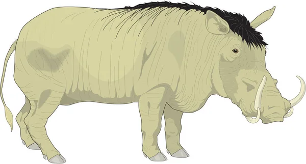 Warthog Stående Vektor Illustration — Stock vektor