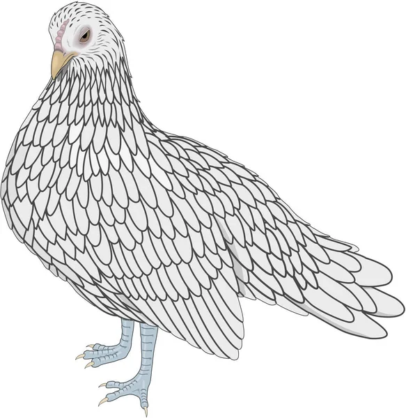 Ilustração Vetor Bantam Hen — Vetor de Stock