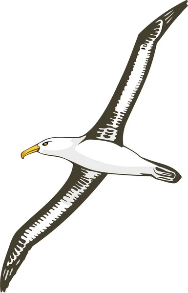 Illustration Vectorielle Albatros Noir Navigué — Image vectorielle