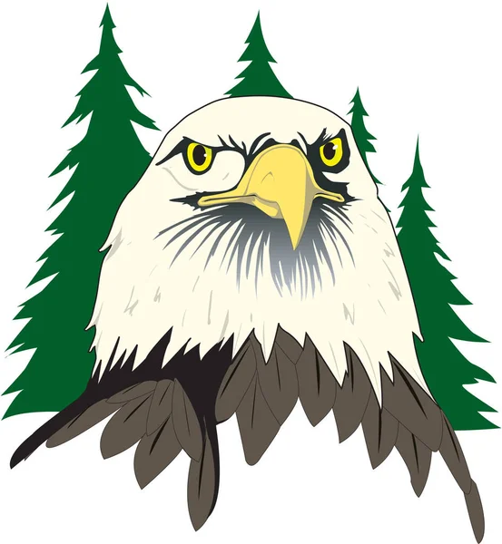 Bald Eagle Face Vector Illustration — Stock Vector