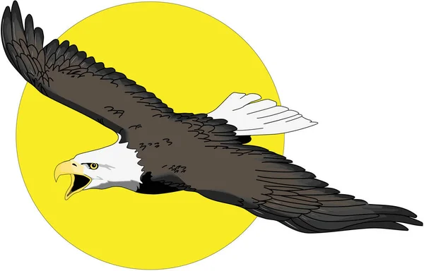Águila Volando Con Sol Vector Ilustración — Vector de stock