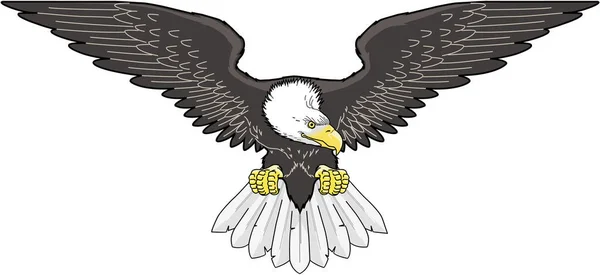 Ilustración Del Vector Águila Calva — Archivo Imágenes Vectoriales
