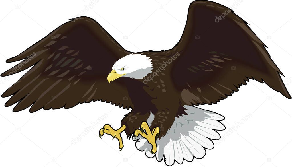 Eagle Landing Vector Illustration