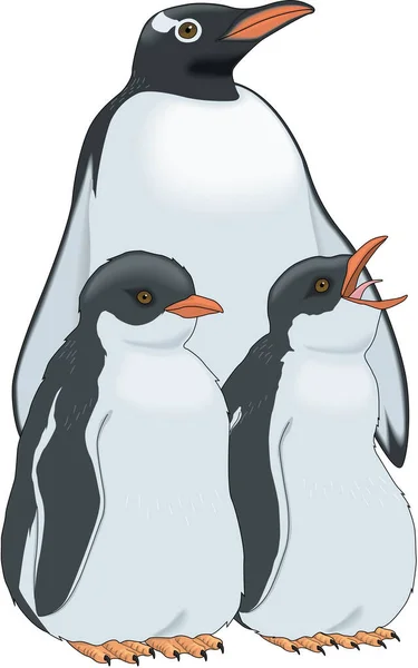 Gentoo Penguin Familj Vektor Illustration — Stock vektor