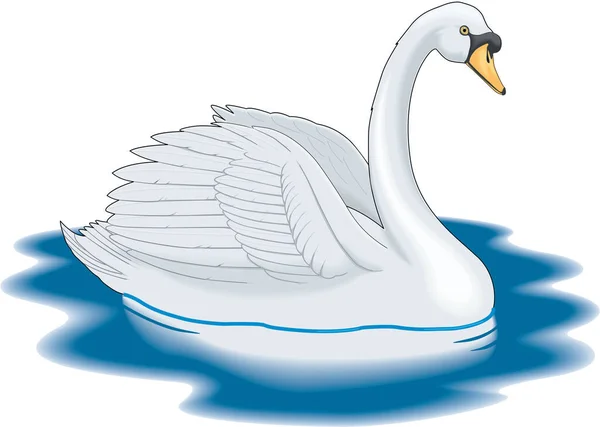 Cisne Mudo Vector Ilustração —  Vetores de Stock