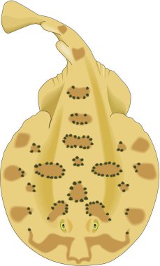 Daha Küçük Elektrik Işını Vektörü İllüstrasyonu