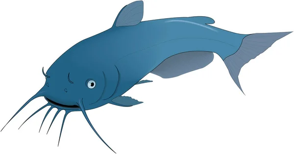 Blue Catfish Vector Illustration — Stock Vector