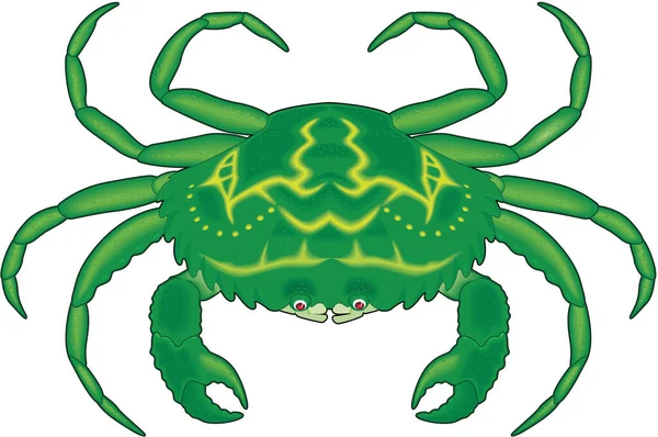 Illustration Vectorielle Debout Crabe — Image vectorielle