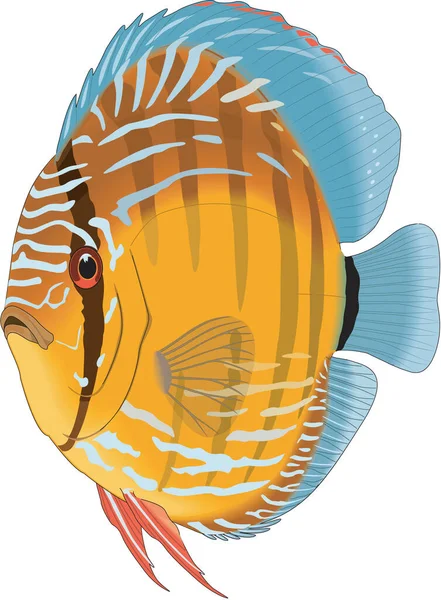 Discus Zwemvector Illustratie — Stockvector