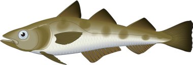 Pollock Yüzme Vektörü İllüstrasyonu