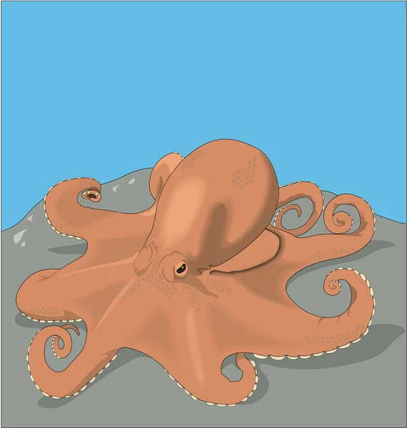 Chobotnice Dolním Vektorovém Obrázku — Stockový vektor