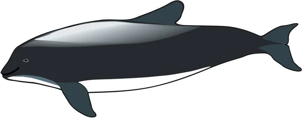 Burmeister Porpoise Vector Ilustración — Archivo Imágenes Vectoriales