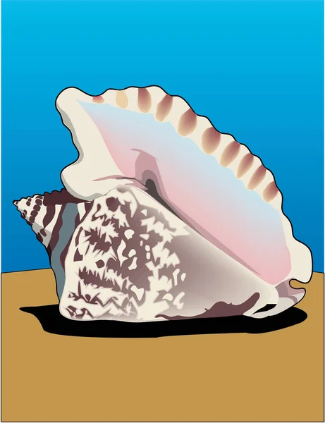 Hawk Winged Conch Vector Illustration — 스톡 벡터