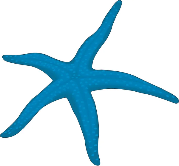 Starfish Ilustração Vetorial Inferior — Vetor de Stock
