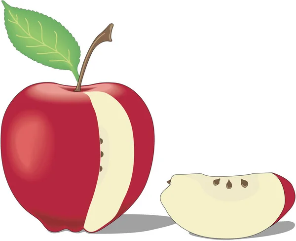 Apple Slice Vektor Illustration — Stock vektor