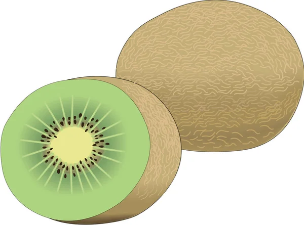 Illustrazione Vettoriale Kiwi — Vettoriale Stock