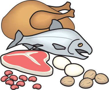 Protein Gıda Grubu Vektörü İllüstrasyonu