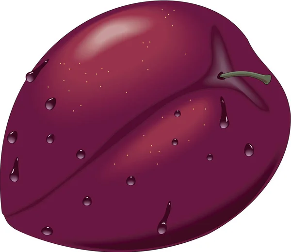 Verse Plum Vector Illustratie — Stockvector